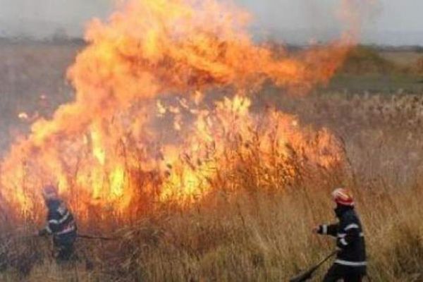 Șase incendii de vegetație uscată produse în interval de două zile