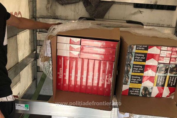 Aproximativ 11.400 de pachete cu ţigări, depistate la P.T.F. Borș, ascunse într-o autoutilitară