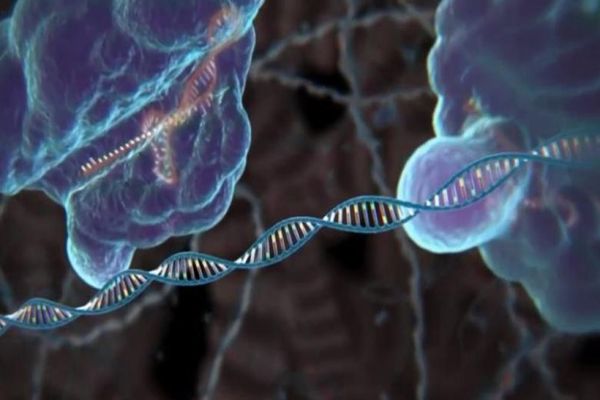  Cum a descoperit un tânăr, într-o noapte fără somn, procedura revoluționară care ar putea vindeca toate bolile genetice 