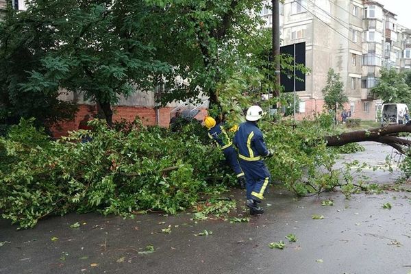 Recomandările pompierilor militari pentru evitarea situațiilor de urgență generate de vântul puternic