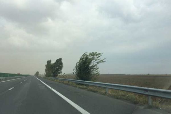 Cod galben de vânt puternic în Bihor