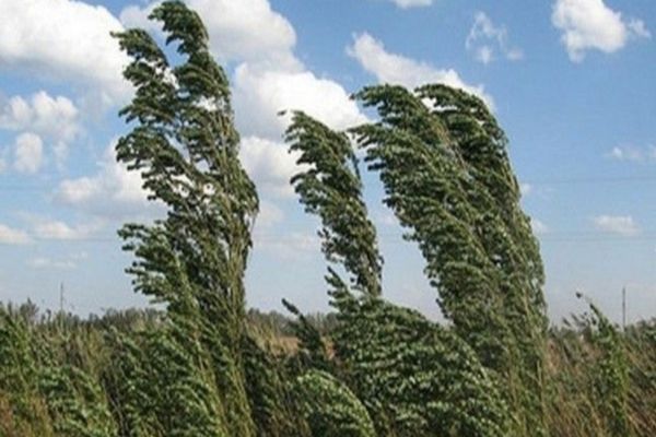 Vâlcea sub incidența codului galben de vânt