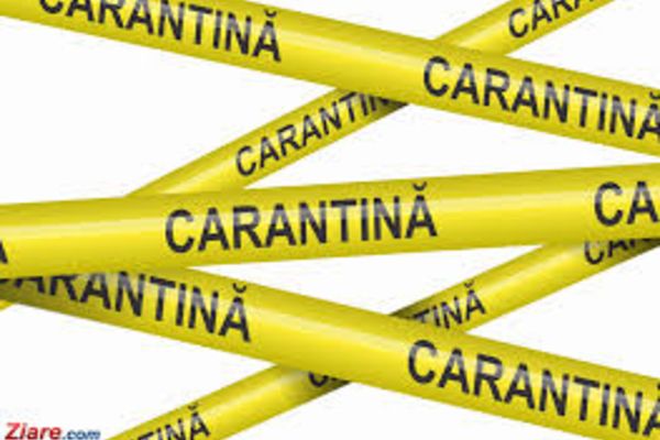 Propunerea de a separa vârstnicii de familiile lor este respinsă de ministrul Sănătății, Nelu Tătaru