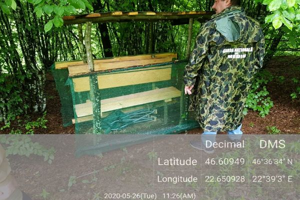 Adăpost de braconaj descoperit de Inspectorii Gărzii de Mediu Bihor