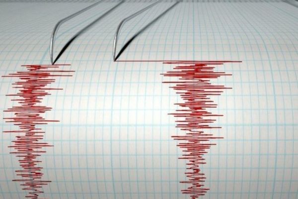 CUTREMUR de 4,8 grade, cu puțin timp în urmă, în zona seismică Vrancea