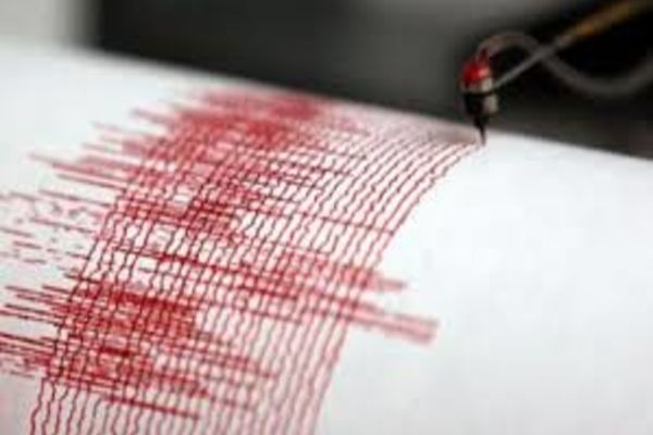 Cutremur de 4,6 grade, joi seara, în România