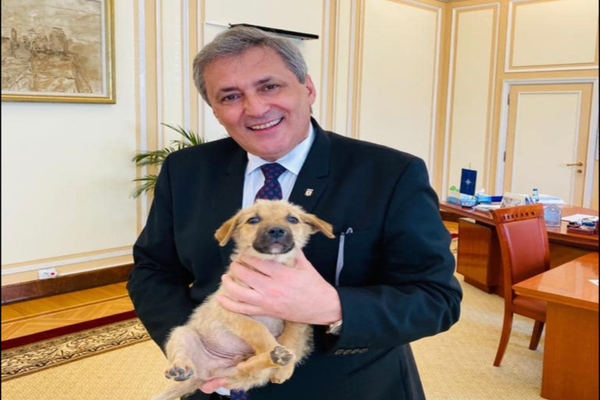 Ministrul de Interne anunță înființarea Poliției Animalelor