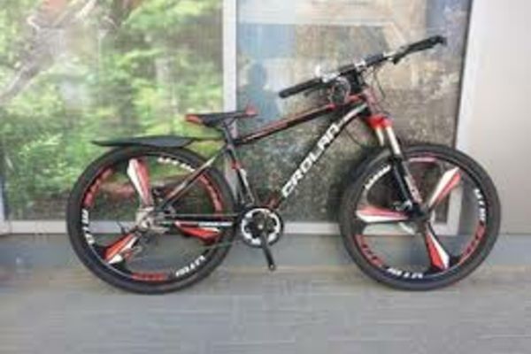 Tânăr bihorean, arestat preventiv! A furat 12 biciclete