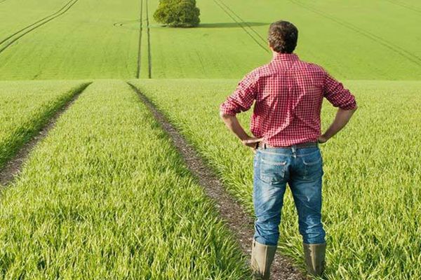 APIA continuă eliberarea de adeverințe pentru beneficiarii Campaniei 2021