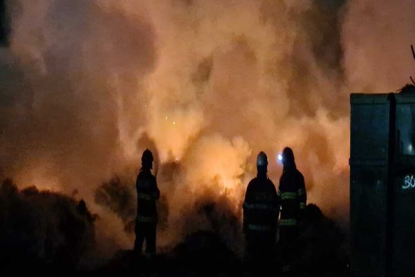 O țigară aruncată aiurea a provocat un incendiu violent în Cimitirul municipal din Oradea! Cinci ore s-au luptat pompierii cu flăcările