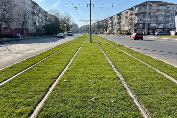 Se montează gazon pe noua linie de tramvai din Oradea (FOTO)
