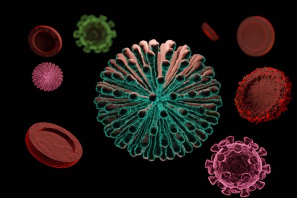 Primele suspiciuni de Omicron în România: Un jucător de rugby și alte 2 persoane, toți sosiți din Africa de Sud