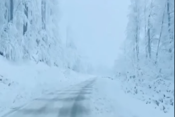 Prognoza meteo. Iarna lovește din plin România. Ce fenomene sunt anunțate de Bobotează