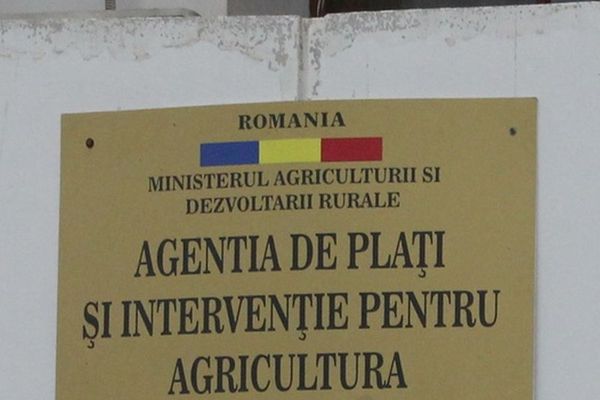 APIA primește cereri de plată aferente anului 2022 pentru schema de ajutor de stat „Servicii de silvomediu, servicii climatice și conservarea pădurilor”