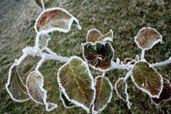 Nopți foarte reci și COD GALBEN de vânt în următoarele zile! Vezi regiunile afectate și cât durează