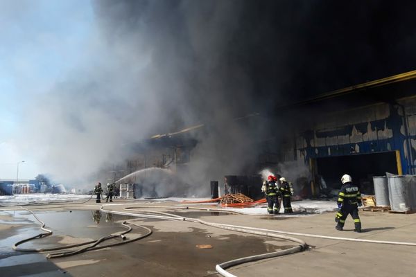 VIDEO: Incendiu de mari proporții la o hală din Oradea