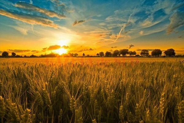 Vreme caldă dar și instabilă. Unde se anunță vijelii