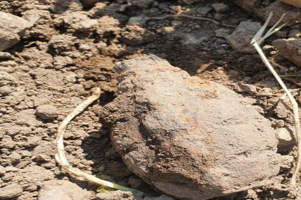 Un bărbat din Roșia a găsit o grenadă în curtea casei 