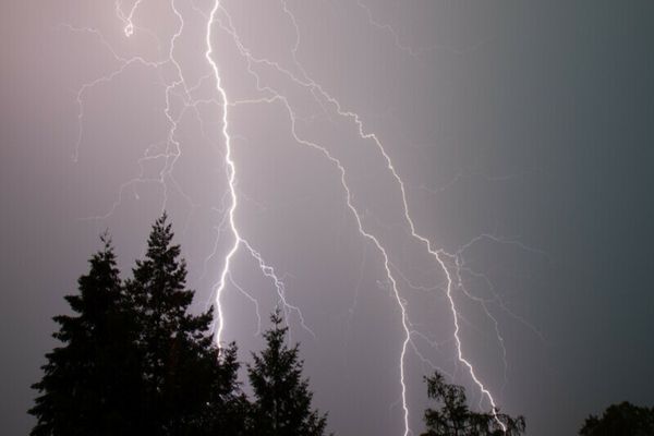 Un bihorean murit după ce a fost lovit de trăsnet, în timp ce culgea ciuperci într-o pădure