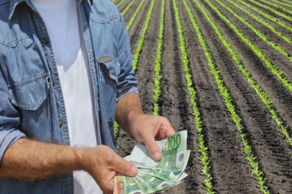 APIA a dat startul plăților în avans pentru Campania 2022