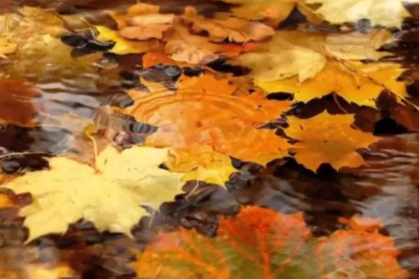 Vremea azi, 21 octombrie. Spre seară cresc șansele de ploi în majoritatea zonelor