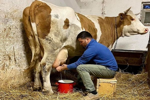 Deputatul PNL de Satu Mare, Adrian Cozma sare în ajutorul fermierilor și cere compensarea cu un leu a fiecărui litru de lapte vândut