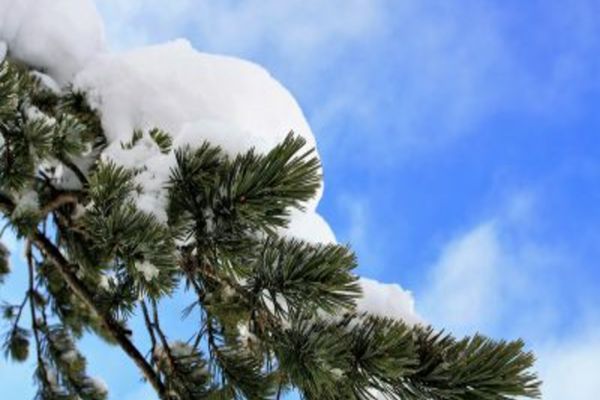 Vremea de Crăciun și Anul Nou: prognoza ANM