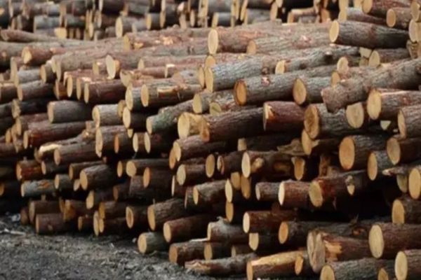 Firmă din Bihor, care nu a putut justifica circa 170 mc de lemn, amendată cu 15.000 lei! Marfa, confiscată valoric