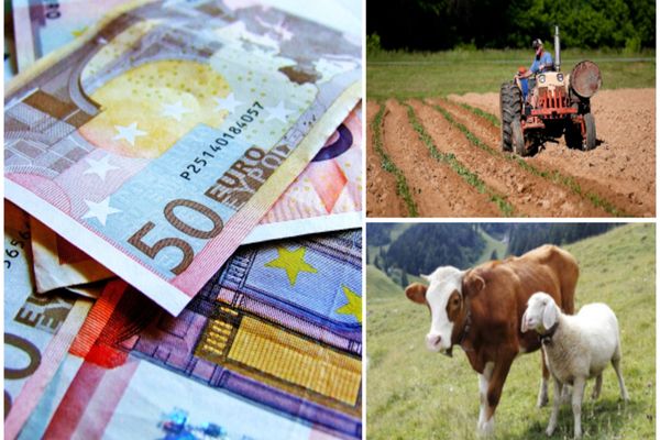 APIA a stabilit cuantumurile ANT-urilor aferente sectoarelor vegetal și zootehnic, pentru anul de cerere 2022