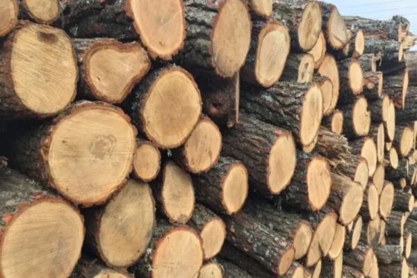 Peste 60 mc de material lemnos, fără proveniență legală, confiscați de polițiști