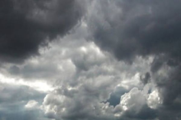 COD PORTOCALIU ȘI GALBEN DE FURTUNI ÎN ROMÂNIA 