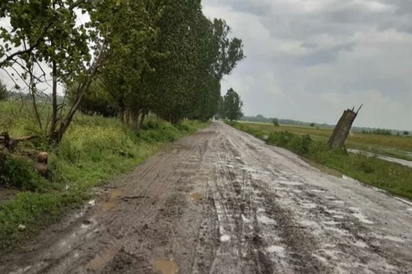 Caravana ANTIMAFIA la Tulcea: Școli și dispensare stau să cadă, drum județean dezastruos, oameni izolați - Răspuns halucinant al autorităților