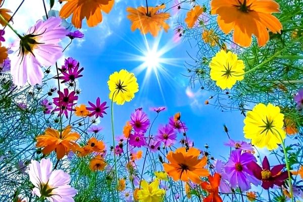 România a scăpat de episodul neobișnuit de viscol! - Vestea bună care vine din partea meteorologilor