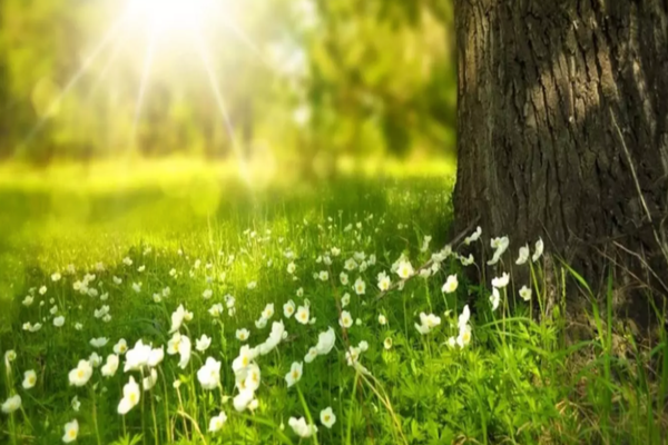 Vremea 9 iulie. Vreme frumoasă și însorită în cea mai mare parte a țării