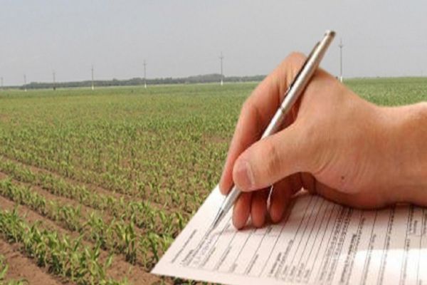 Termenul de depunere a cererilor de plată pentru intervențiile IACS, prelungit până la data de 31 mai 2023 inclusiv