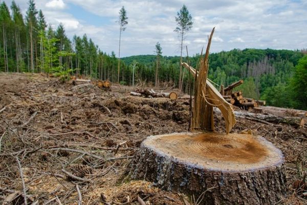 PER: România trebuie sa prioritizeze oprirea deşertificării. Nu ne ajută cu nimic sesiunile foto facute de parlamentari la acțiuni de mediu, promisiunile sau parerile de rău pe la TV