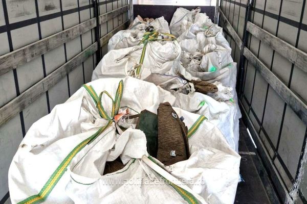 Peste 22 de tone de deşeuri, oprite la Nădlac și Borș să intre în țară  