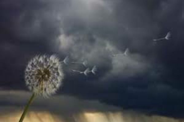 Avertizăre meteo - Cod galben de vânt puternic: Rafale de până la 100 km/h