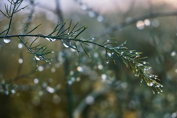 Vremea 10 decembrie. Ceață densă și burniță în multe zone: temperaturi peste normal cu maxime de până la 16°C