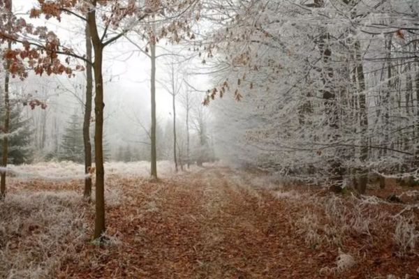 Prognoza meteo. Vreme închisă și precipitații mixte în vest și centru