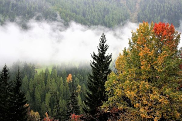 VREMEA SE ÎNCĂLZEȘTE UȘOR, DAR DIMINEȚILE RĂMÂN RECI – PROGNOZA METEO PENTRU 21 OCTOMBRIE