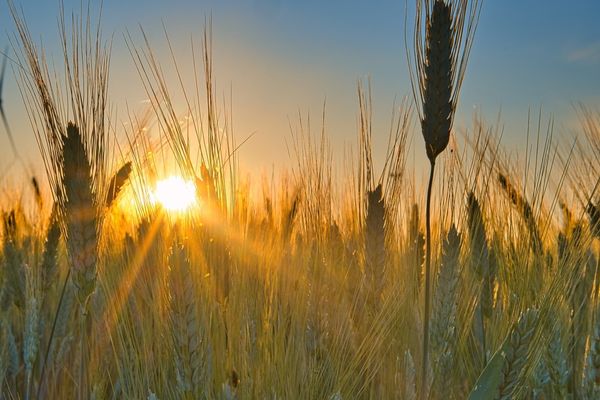 VREMEA 6 IUNIE. TEMPERATURI CANICULARE