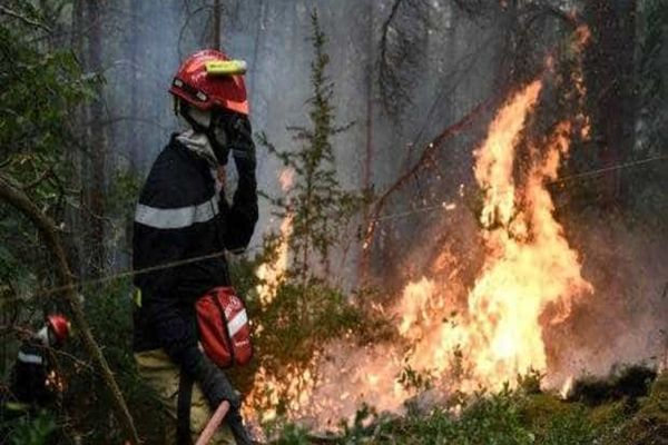 INCENDIILE DE VEGETAȚIE AFECTEAZĂ SUTE DE HECTARE ÎN ȘASE JUDEȚE DIN ȚARĂ. AUTORITĂȚILE LANSEAZĂ UN NOU APEL LA RESPONSABILITATE