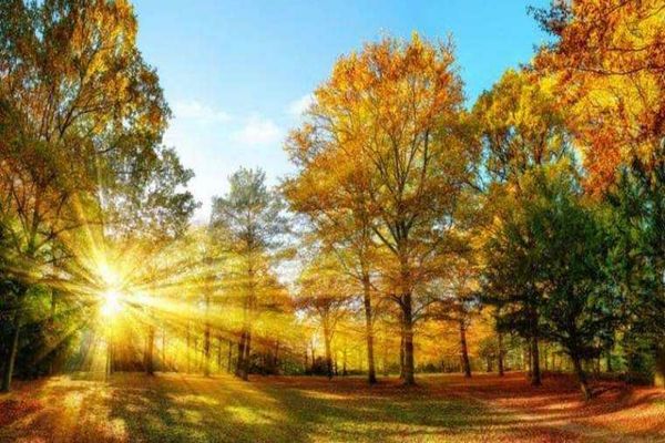 PROGNOZA METEO 22 OCTOMBRIE. VREMEA CONTINUĂ SĂ SE ÎNCĂLZEASCĂ