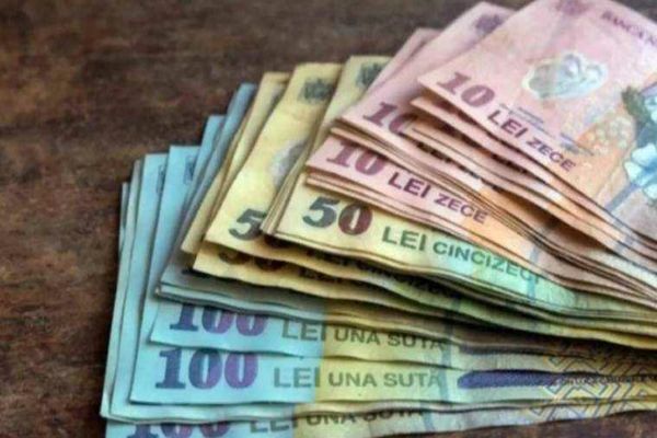 Percheziții în forță la Suceava: bani găsiți în sacoșe, într-o anchetă uriașă de evaziune și delapidare