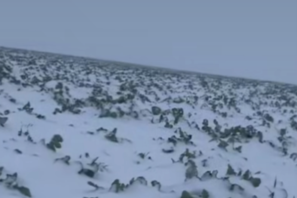 UN NOU VORTEX POLAR SE FORMEAZĂ DEASUPRA POLELUI NORD. METEOROLOGII AVERTIZEAZĂ: URMEAZĂ O IARNĂ ASPRĂ