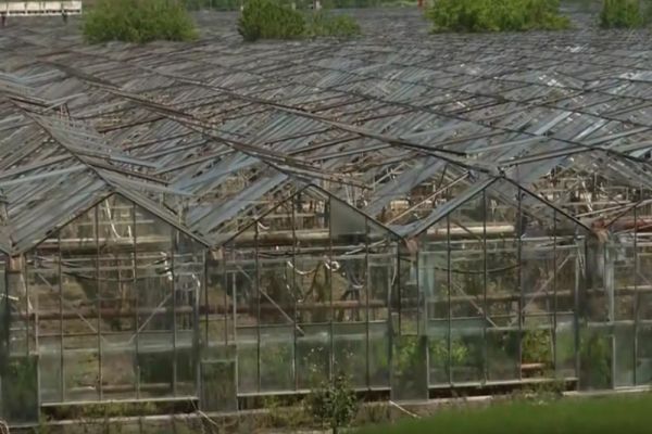 CUM ȘI-A CONSTRUIT BECALI UN IMPERIU. CIRCUITUL BANILOR 