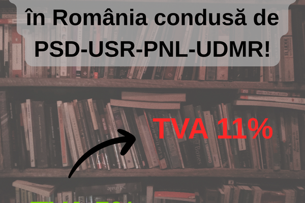 CULTURA NU E UN MOFT. E OXIGENUL UNEI SOCIETĂȚI CARE VREA SĂ RESPIRE PROFUND, NU DOAR SĂ SUPRAVIEȚUIASCĂ