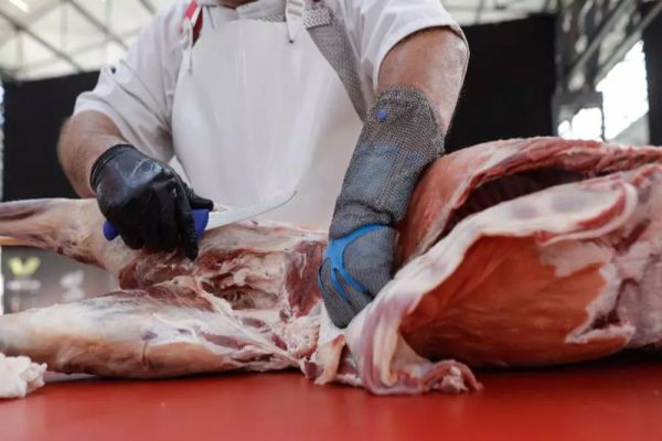 ALERTĂ ALIMENTARĂ ÎN ROMÂNIA: TONE DE CARNE DE PORC POSIBIL INFESTATĂ CU PESTĂ PORCINĂ AFRICANĂ