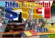 Zilele orașului Ștei